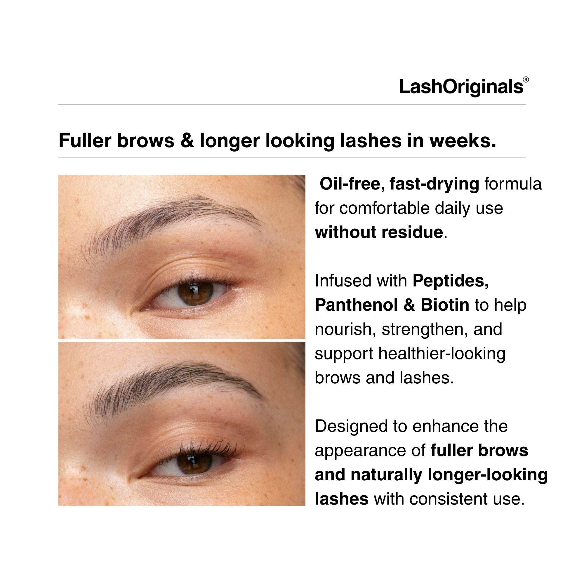 Lash & Brow Treatment Set