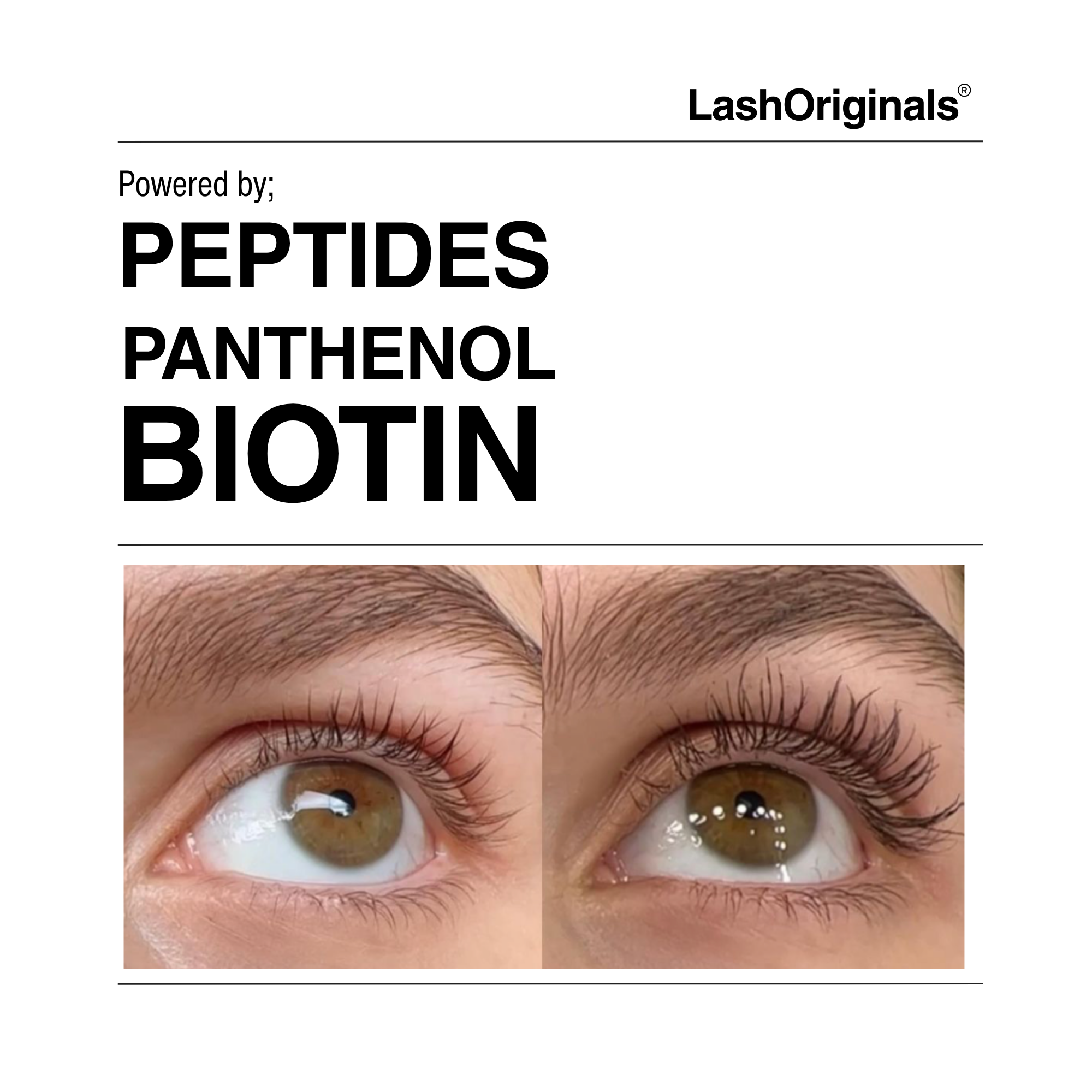 Lash Serum